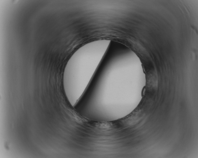 X0000097860282200803140903