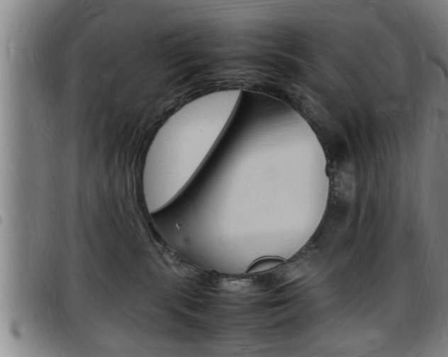 X0000097860283200803140903