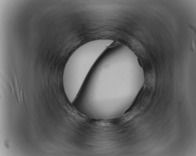 X0000097860284200803140903