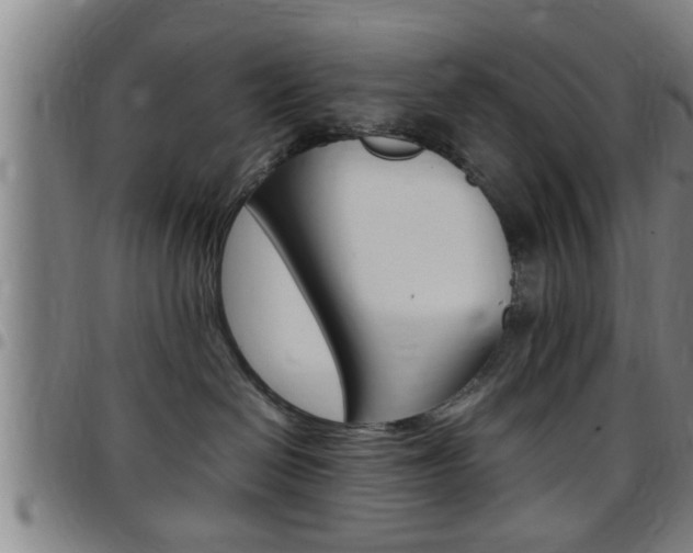 X0000097860286200803140903