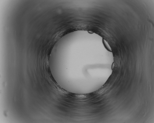 X0000097860287200803140903