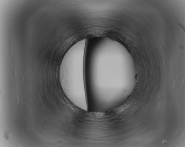 X0000097860288200803140903