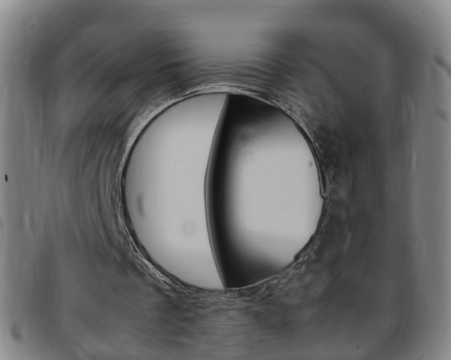 X0000097860289200803140902