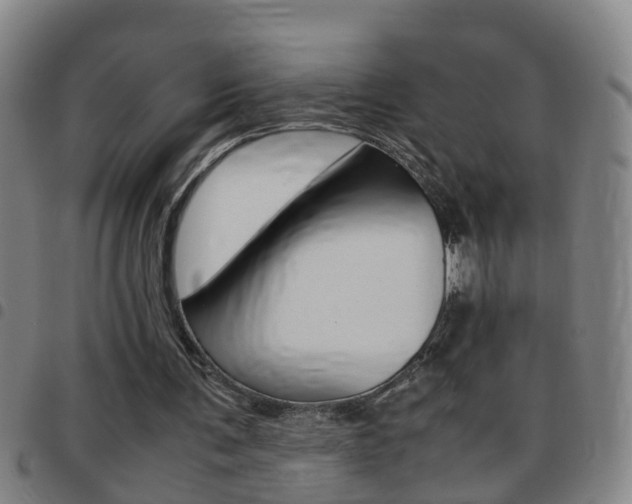 X0000097860291200803140902