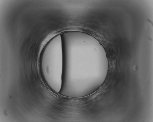 X0000097860294200803140902