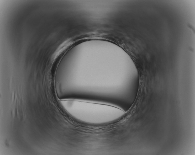 X0000097860295200803140902
