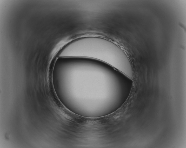 X0000097860296200803140902