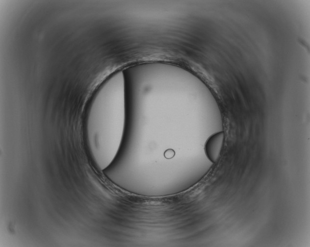 X0000097860298200803140902