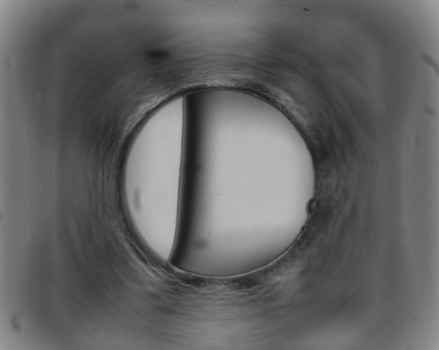 X0000097860299200803140902