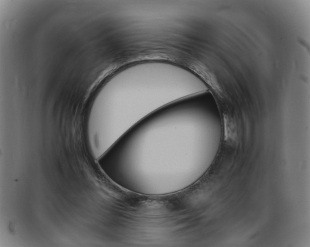 X0000097860300200803140902