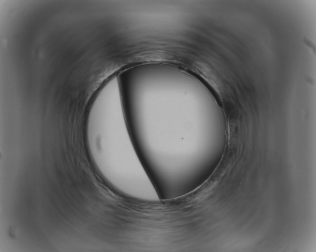 X0000097860301200803140902