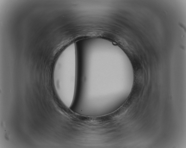 X0000097860303200803140902
