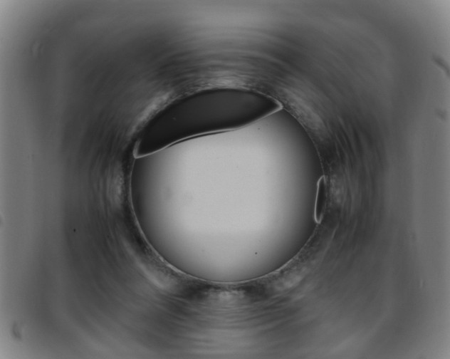 X0000097860304200803140902