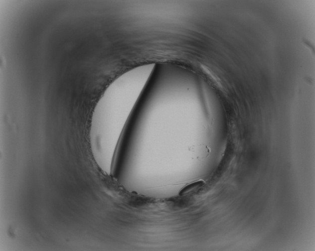 X0000097860307200803140902