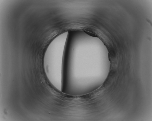 X0000097860309200803140902