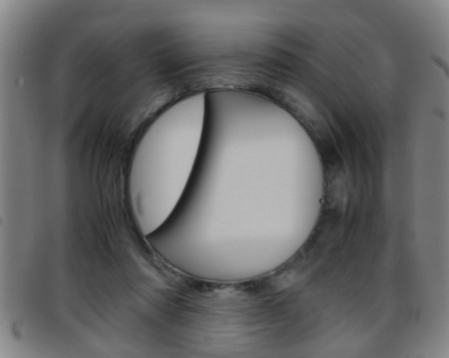 X0000097860310200803140902