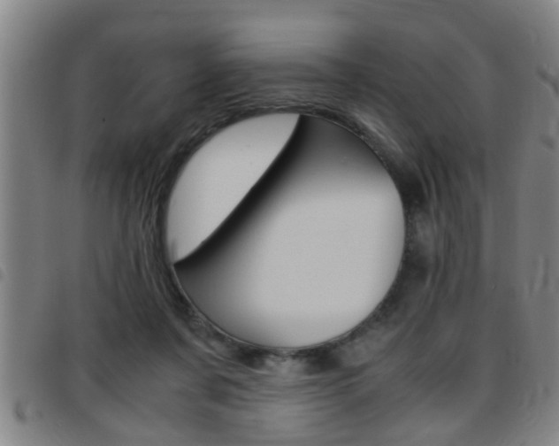 X0000097860311200803140902