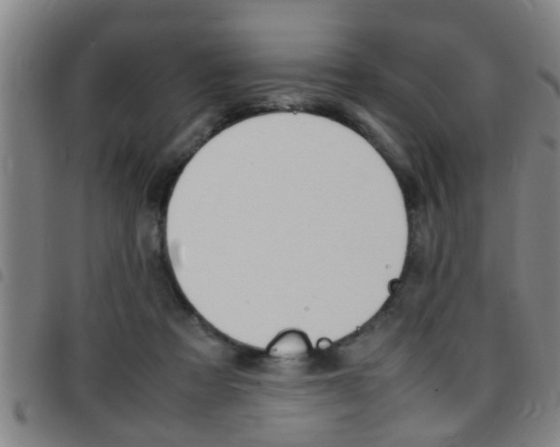 X0000097860313200803140902