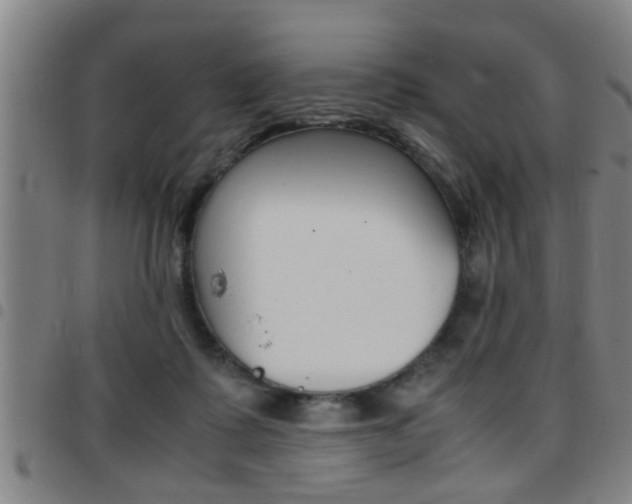 X0000097860315200803140902