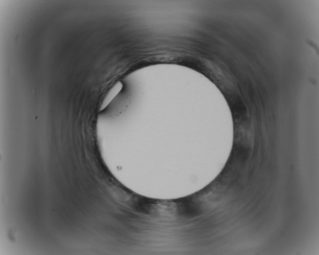 X0000097860317200803140902