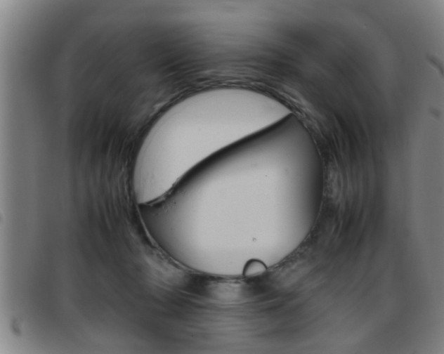 X0000097860318200803140902