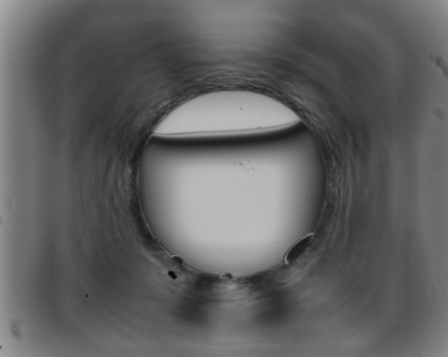 X0000097860319200803140902