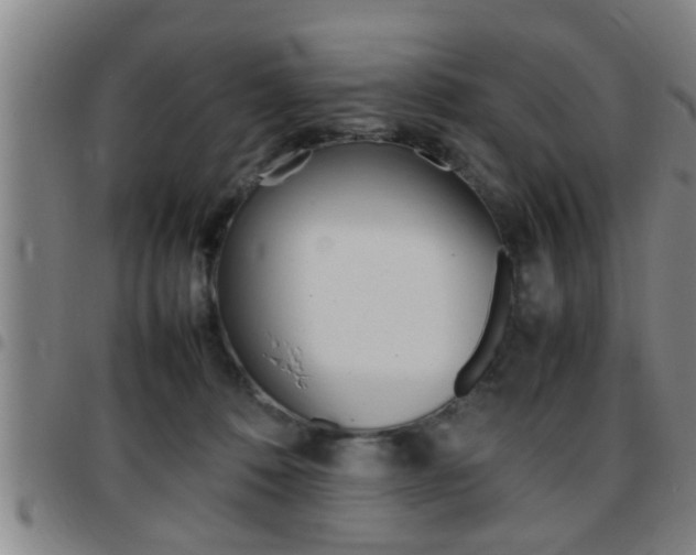 X0000097860320200803140902