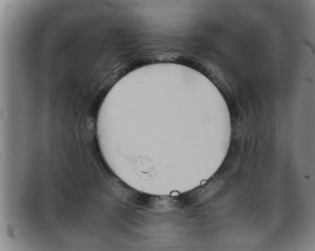 X0000097860321200803140902