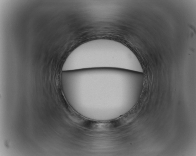 X0000097860323200803140902