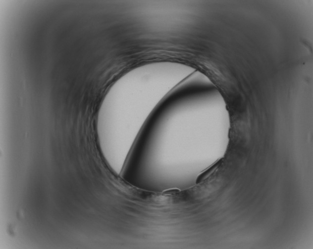 X0000097860325200803140902