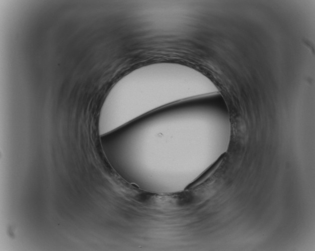 X0000097860327200803140902