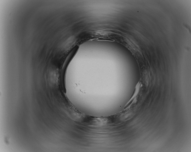 X0000097860328200803140902