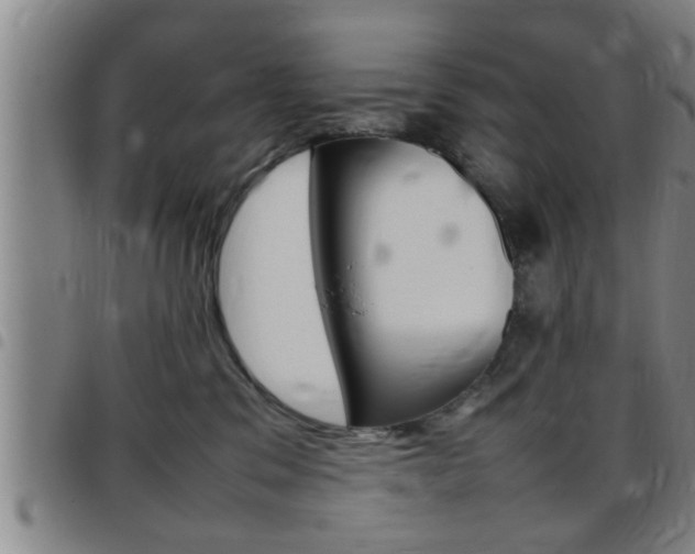 X0000097860329200803140902