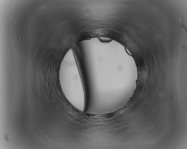 X0000097860331200803140902