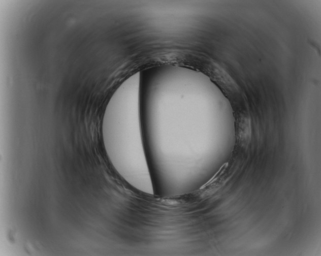 X0000097860332200803140902
