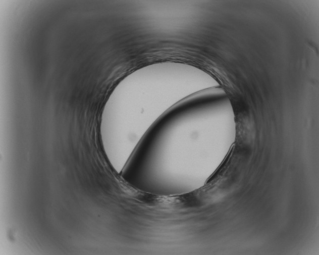 X0000097860333200803140902