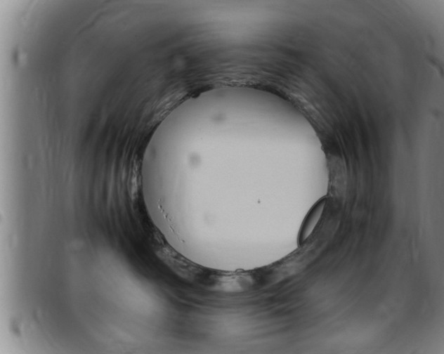 X0000097860334200803140902