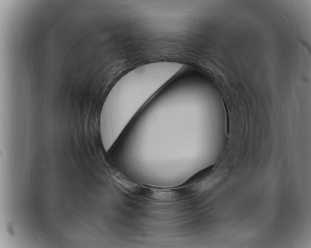 X0000097860336200803140902
