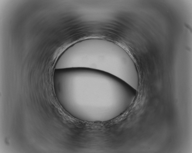 X0000097860337200803140901