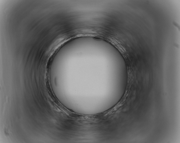 X0000097860338200803140901
