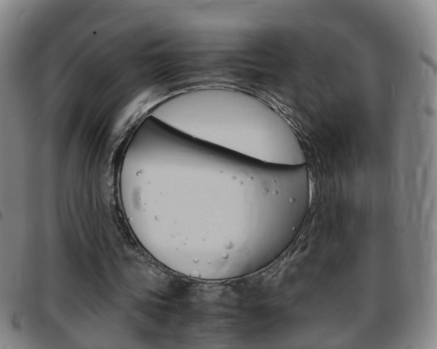 X0000097860339200803140901