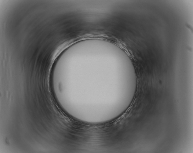 X0000097860340200803140901