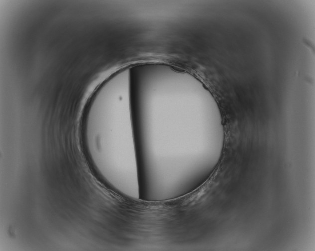 X0000097860342200803140901