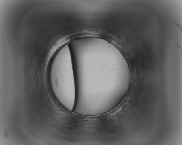 X0000097860343200803140901