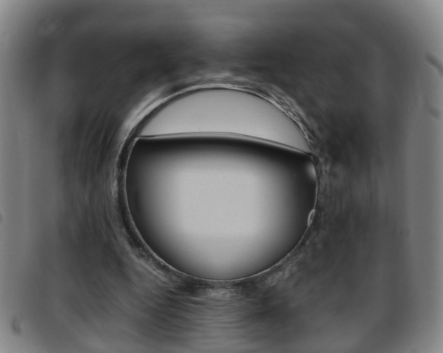 X0000097860344200803140901