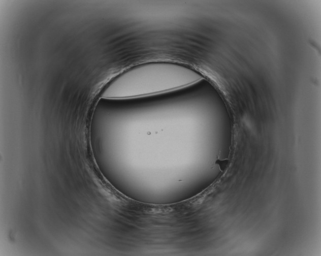 X0000097860345200803140901