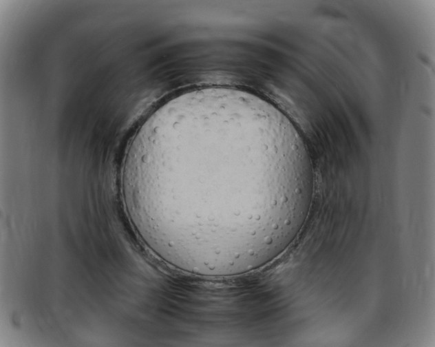 X0000097860347200803140901