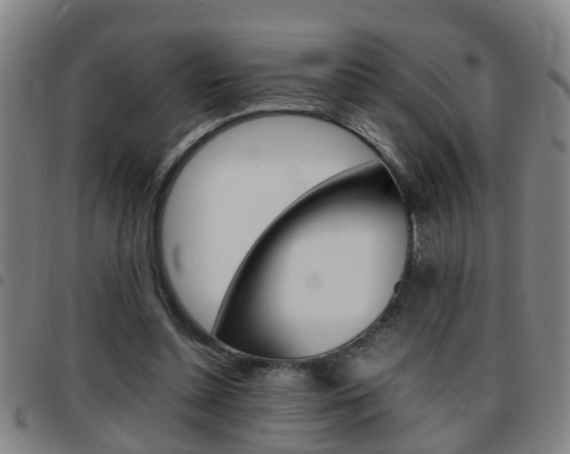 X0000097860348200803140901