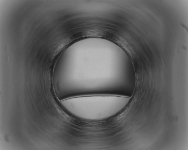 X0000097860349200803140901