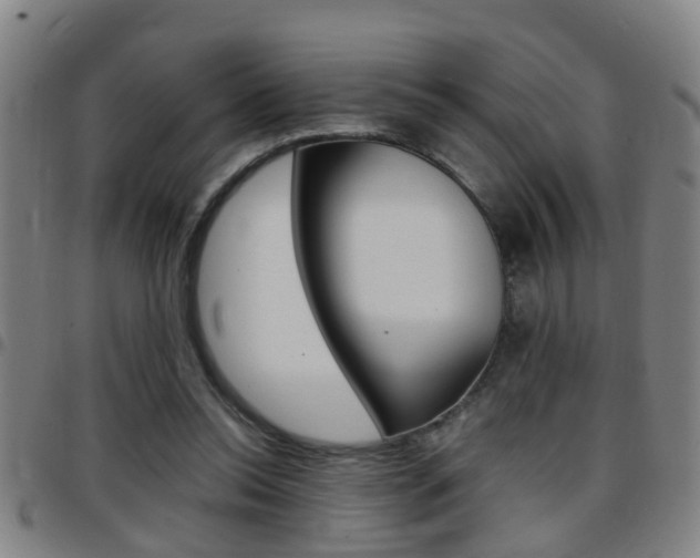X0000097860350200803140901